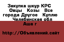 Закупка шкур КРС , Овцы , Козы - Все города Другое » Куплю   . Челябинская обл.,Аша г.